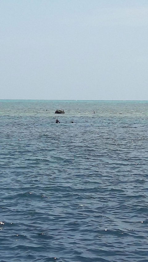 Great Barrier Reef Cruise From Townsville Or Magnetic Island - Accommodation Mermaid Beach 2