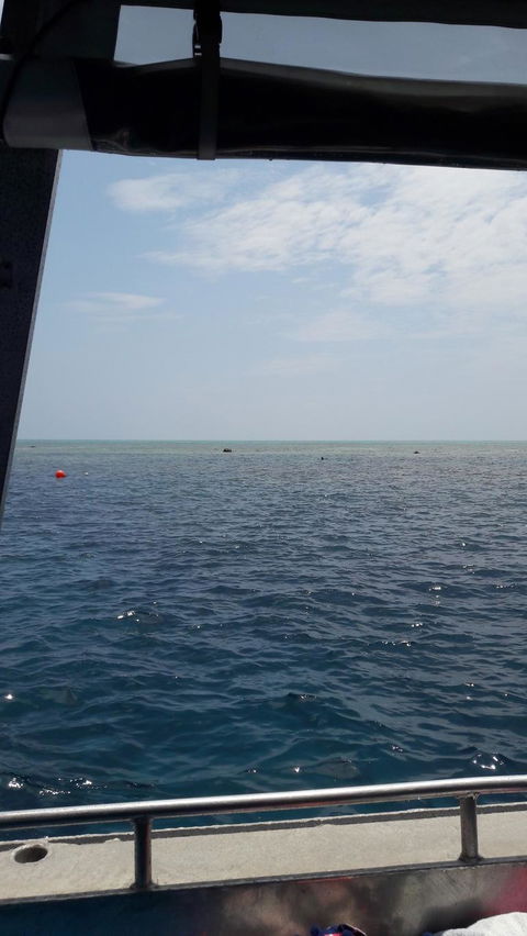 Great Barrier Reef Cruise From Townsville Or Magnetic Island - Accommodation Mermaid Beach 3