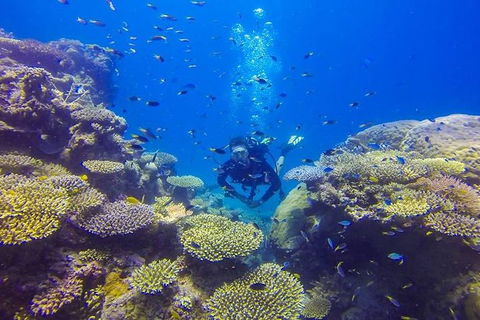 Great Barrier Reef Cruise From Townsville Or Magnetic Island - Accommodation Mermaid Beach 12