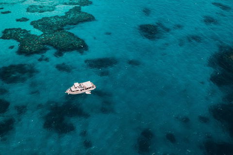 Great Barrier Reef Cruise From Townsville Or Magnetic Island - Accommodation Mermaid Beach 7