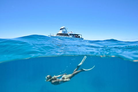 Great Barrier Reef Cruise From Townsville Or Magnetic Island - Accommodation Mermaid Beach 10