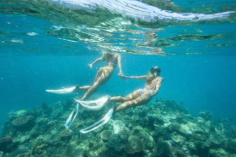 Great Barrier Reef Cruise From Townsville Or Magnetic Island - Accommodation Mermaid Beach 8