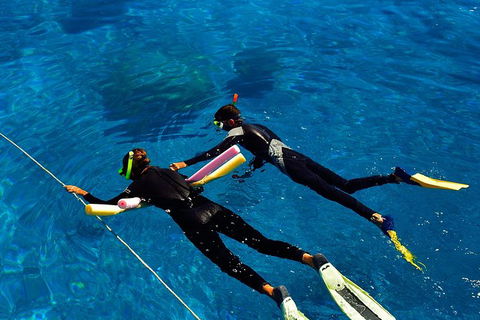 Great Barrier Reef Cruise From Townsville Or Magnetic Island - Accommodation Mermaid Beach 13