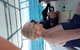 Afternoon Low Isles Snorkeling And Sailing Cruise From Port Douglas - thumb 8