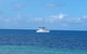 Afternoon Low Isles Snorkeling And Sailing Cruise From Port Douglas - thumb 7