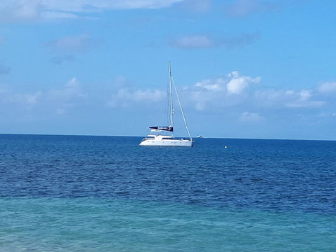 Afternoon Low Isles Snorkeling And Sailing Cruise From Port Douglas - Accommodation Mermaid Beach 7
