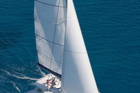 Afternoon Low Isles Snorkeling And Sailing Cruise From Port Douglas - Accommodation Mermaid Beach 11