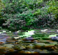 Mossman Silky Oaks to/from Cairns - Accommodation Mermaid Beach
