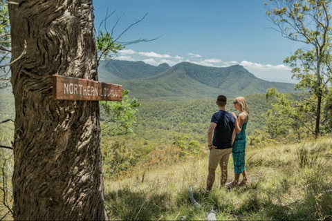 Queensland Food Tour: The Ultimate Delectable Full Day Experience - Accommodation Mermaid Beach 1