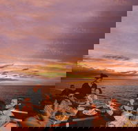 Darwin Harbour Sunset Cruise with Optional Buffet Dinner - Accommodation Mermaid Beach