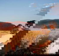 Uluru Ayers Rock Sunset with Outback Barbecue Dinner and Star Tour - Accommodation Mermaid Beach
