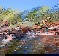 Litchfield and Jumping Crocodiles Full Day Trip from Darwin - Accommodation Mermaid Beach