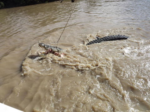 Darwin Jumping Crocodiles Cruise On Adelaide River - Accommodation Mermaid Beach 8