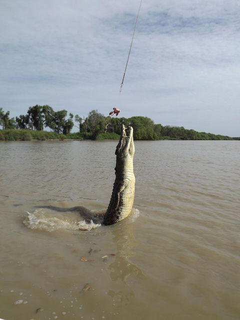 Darwin Jumping Crocodiles Cruise On Adelaide River - Accommodation Mermaid Beach 2