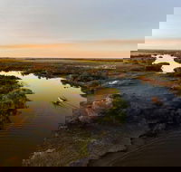 1 Day Corroboree Billabong Wetland Experience including 2.5 hour cruise  lunch - Accommodation Mermaid Beach