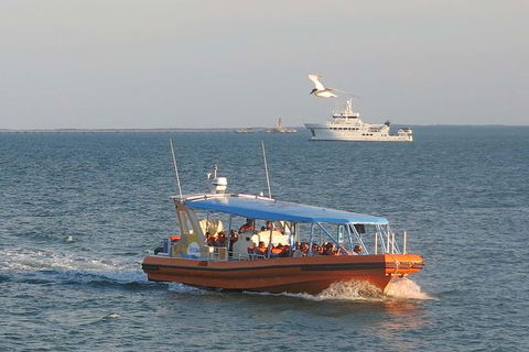 1-Hour Darwin Harbour Highlights Cruise - Accommodation Mermaid Beach 0
