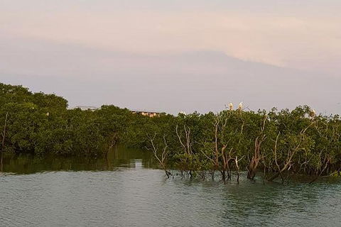 1-Hour Darwin Harbour Highlights Cruise - Accommodation Mermaid Beach 7