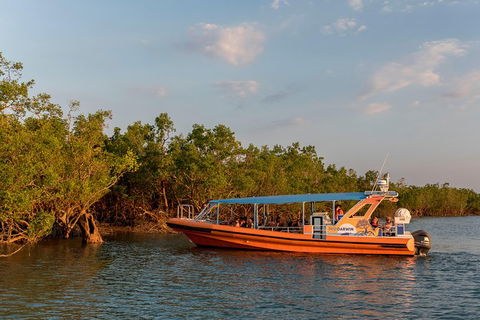 1-Hour Darwin Harbour Highlights Cruise - Accommodation Mermaid Beach 3