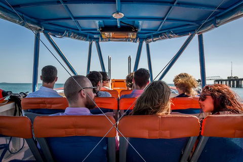1-Hour Darwin Harbour Highlights Cruise - Accommodation Mermaid Beach 6