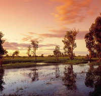 3-Day Kakadu National Park and Arnhem Land Explorer Tour from Darwin - Accommodation Mermaid Beach
