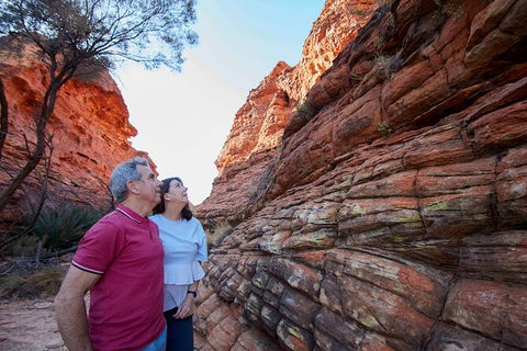 3-Day Alice Springs To Uluru (Ayers Rock) Via Kings Canyon Tour - Accommodation Mermaid Beach 17