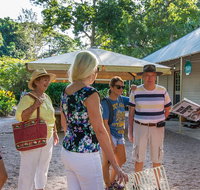 Walk the Darwin Botanic Gardens - Accommodation Mermaid Beach