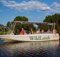 830am Safari Cruise 1.5 Hours - Accommodation Mermaid Beach