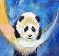 Panda Moon - Six Tanks 7.00-9.00pm - Accommodation Mermaid Beach