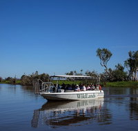 Safari Cruise 1 Hour - Accommodation Mermaid Beach