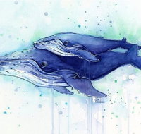 A Day At Sea - Six Tanks 3.00-5.00pm - Accommodation Mermaid Beach