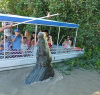 Jumping Croc Cruise - Accommodation Mermaid Beach