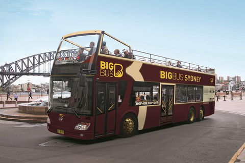 Big Bus Sydney And Bondi Hop-on Hop-off Tour - Accommodation Mermaid Beach 0