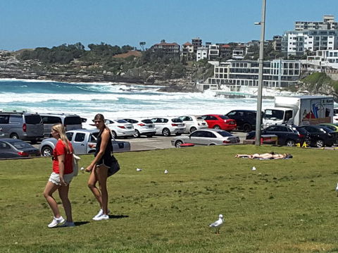 Big Bus Sydney And Bondi Hop-on Hop-off Tour - Accommodation Mermaid Beach 12