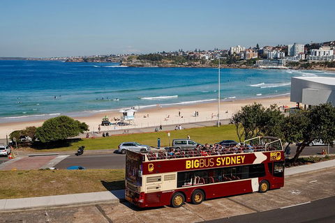 Big Bus Sydney And Bondi Hop-on Hop-off Tour - Accommodation Mermaid Beach 33