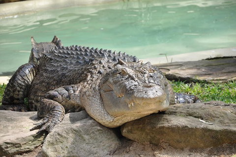 All-Inclusive Blue Mountains Tour In A Luxury Mercedes Sprinter - Accommodation Mermaid Beach 14