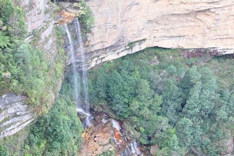 All-Inclusive Blue Mountains Tour In A Luxury Mercedes Sprinter - Accommodation Mermaid Beach 17