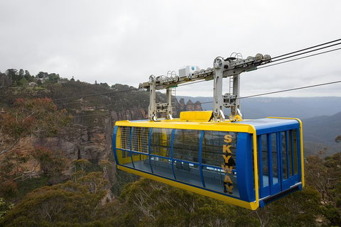 All-Inclusive Blue Mountains Tour In A Luxury Mercedes Sprinter - Accommodation Mermaid Beach 10