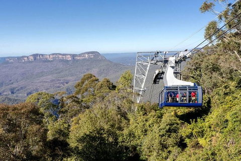 All-Inclusive Blue Mountains Tour In A Luxury Mercedes Sprinter - Accommodation Mermaid Beach 6
