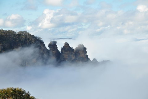 All-Inclusive Blue Mountains Tour In A Luxury Mercedes Sprinter - Accommodation Mermaid Beach 15