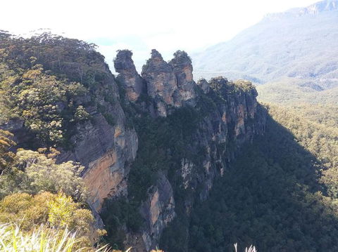 Blue Mountains Nature And Wildlife Day Tour From Sydney - Accommodation Mermaid Beach 8
