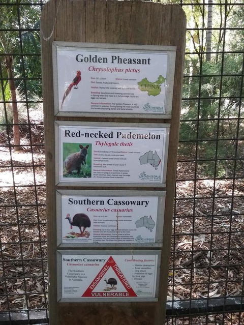 Blue Mountains Nature And Wildlife Day Tour From Sydney - Accommodation Mermaid Beach 3