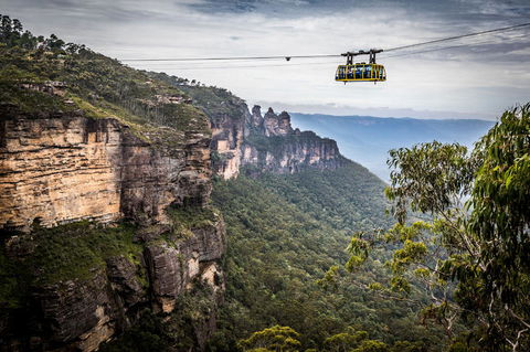 Blue Mountains Nature And Wildlife Day Tour From Sydney - Accommodation Mermaid Beach 19