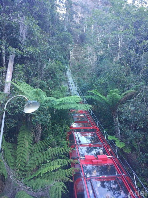 Blue Mountains Nature And Wildlife Day Tour From Sydney - Accommodation Mermaid Beach 14