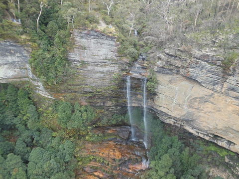 Blue Mountains Nature And Wildlife Day Tour From Sydney - Accommodation Mermaid Beach 13