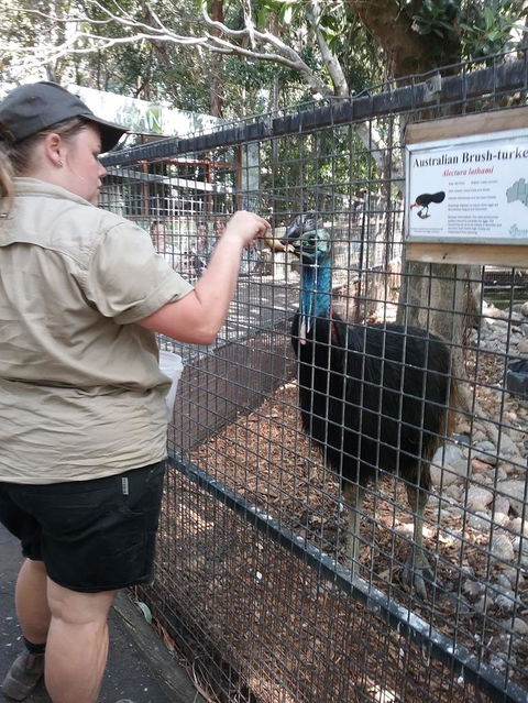 Blue Mountains Nature And Wildlife Day Tour From Sydney - Accommodation Mermaid Beach 4