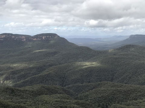 Blue Mountains Nature And Wildlife Day Tour From Sydney - Accommodation Mermaid Beach 2