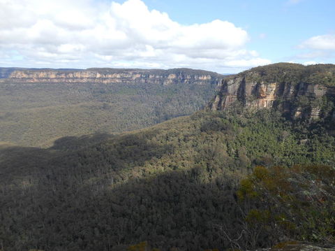 Blue Mountains Nature And Wildlife Day Tour From Sydney - Accommodation Mermaid Beach 12