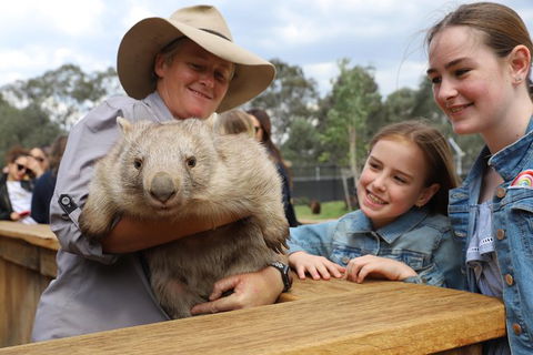 Blue Mountains Nature And Wildlife Day Tour From Sydney - Accommodation Mermaid Beach 39