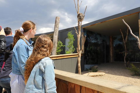 Blue Mountains Nature And Wildlife Day Tour From Sydney - Accommodation Mermaid Beach 27