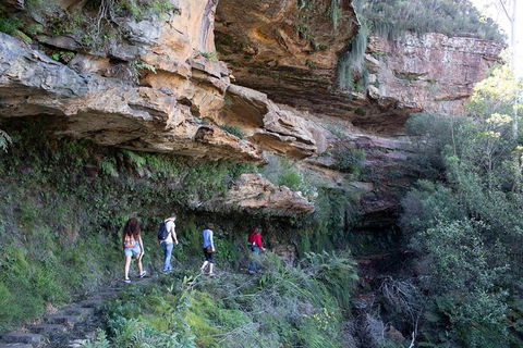 Blue Mountains Nature And Wildlife Day Tour From Sydney - Accommodation Mermaid Beach 40